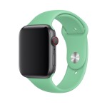 44mm Spearmint Sport Band