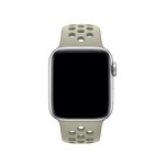 40mm Spruce Fog/Vintage Lichen Nike Sport Band