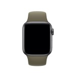 40mm Khaki Sport Band