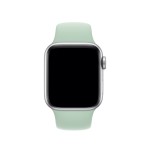 40mm Beryl Sport Band
