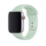 44mm Beryl Sport Band