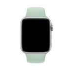 44mm Beryl Sport Band