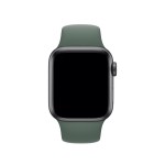 40mm Pine Green Sport Band