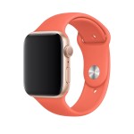 40mm Clementine Sport Band
