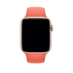 44mm Clementine Sport Band