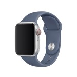 40mm Alaskan Blue Sport Band