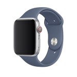 44mm Alaskan Blue Sport Band