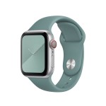 40mm Cactus Sport Band