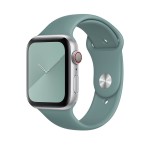 44mm Cactus Sport Band