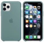 Apple iPhone 11 Pro silikoninis Cactus dėklas