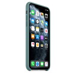 Apple iPhone 11 Pro Max silikoninis Cactus dėklas
