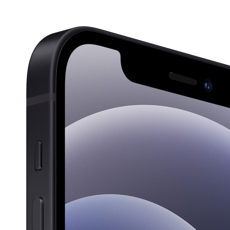 iPhone 12 256GB Black MGJG3ET/A kaina tik 745 €