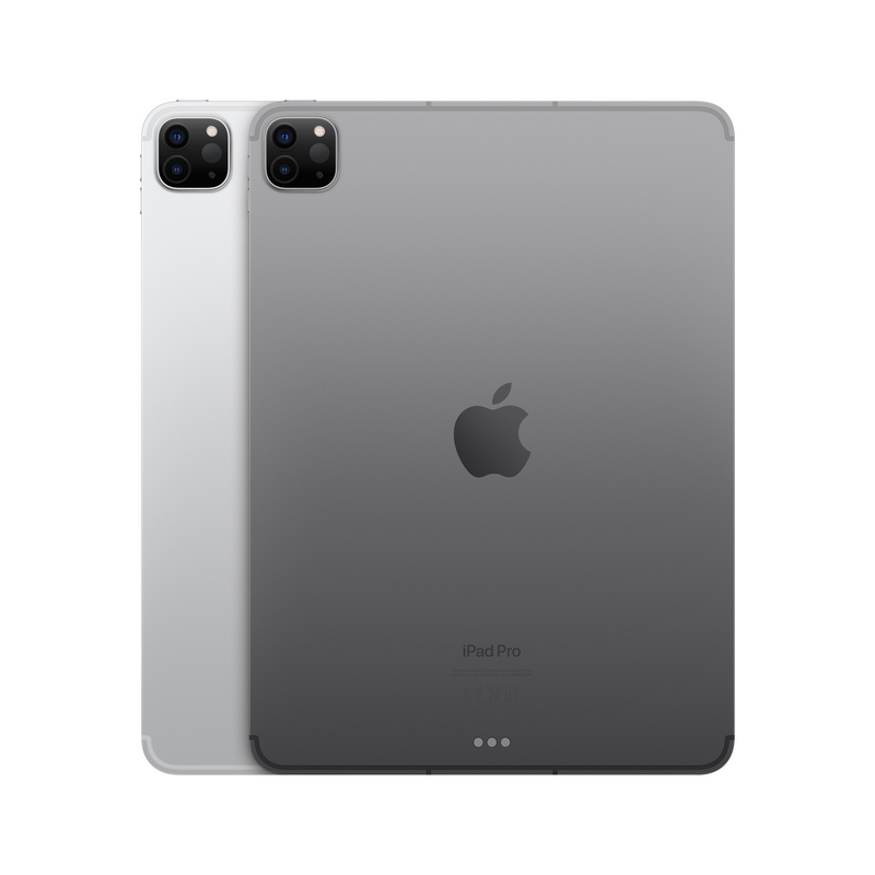 iPad Pro 11 Wi-Fi+Cellular 256GB Silver (2022) MNYF3HC/A kaina tik