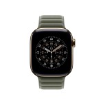 42mm Sage Gray Magnetic Link - S/M