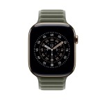 46mm Sage Gray Magnetic Link - S/M