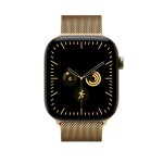 46mm Radiant Gold Milanese Loop - S/M