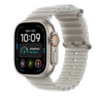 49mm Translucent Grey Ocean Band - Natural Titanium Finish