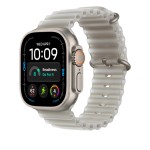 49mm Translucent Grey Ocean Band Extension - Natural Titanium Finish