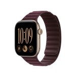 42mm Burgundy Magnetic Link - M/L
