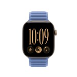 42mm Wildflower Blue Magnetic Link - S/M
