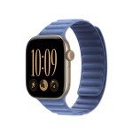 42mm Wildflower Blue Magnetic Link - M/L
