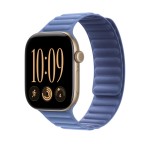 46mm Wildflower Blue Magnetic Link - S/M