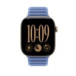 46mm Wildflower Blue Magnetic Link - M/L