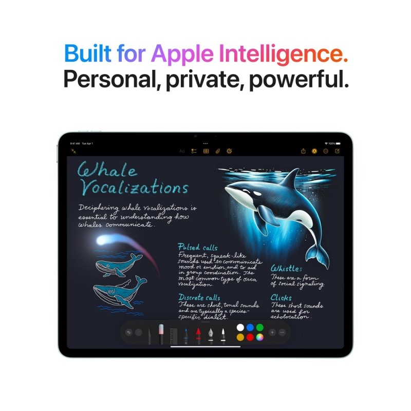 iPad Air 13