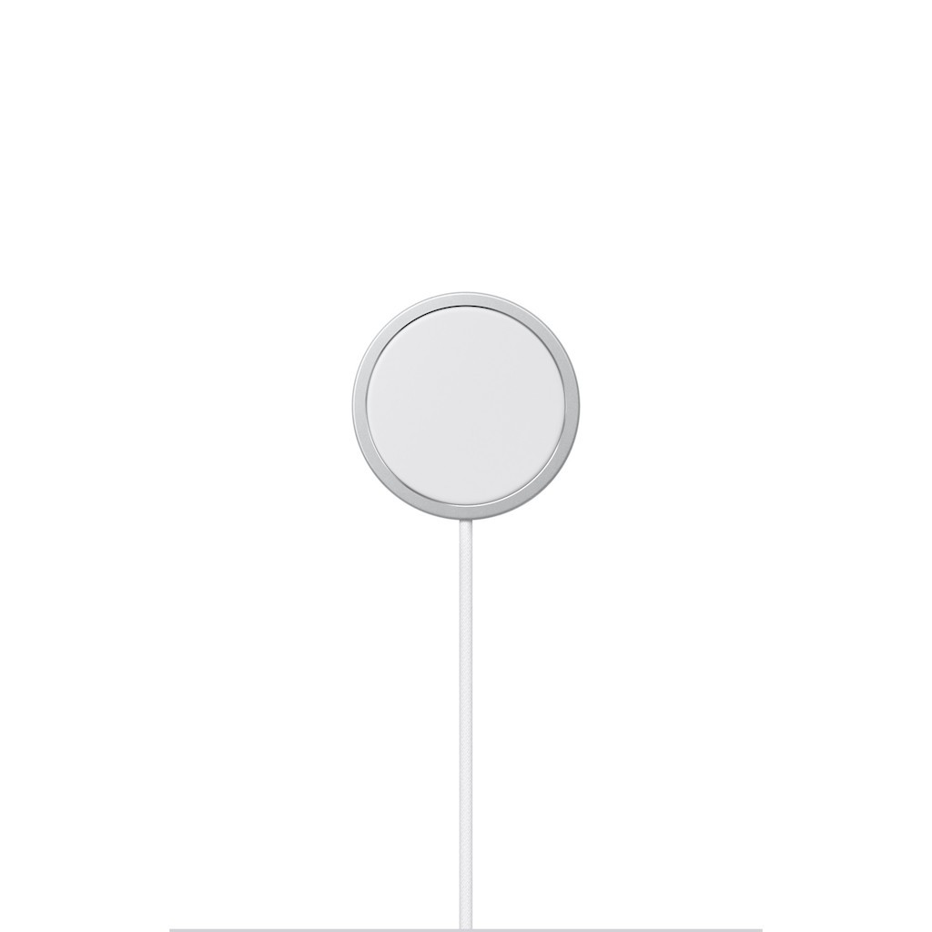 mx6x3-charger-1_1.jpeg