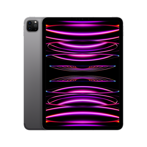 iPad Pro 11 Wi-Fi+Cellular 256GB Space Gray (2022)