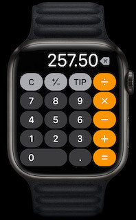 Apple Watch 7 mygtukai